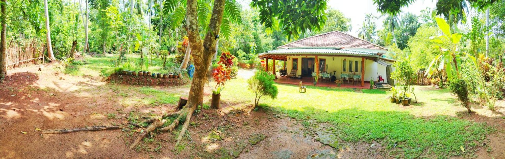 Hiriketiya Green Hill Home Dikwella Luaran gambar